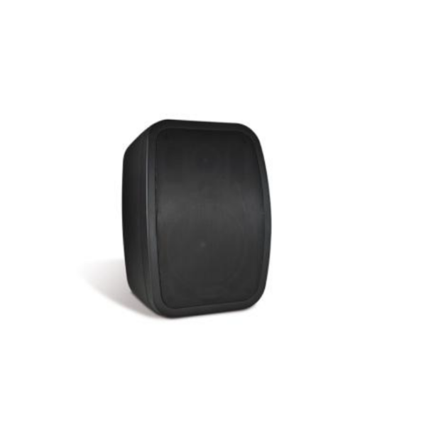 Колонки Настенные INGS X30W AABL